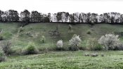 IMG_20170430_090719-01.jpeg