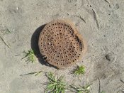 IMG_20170503_093143.jpg