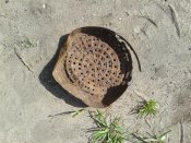 IMG_20170503_093151.jpg