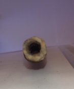 image.jpeg