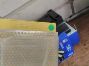 IMG_20170423_143318.jpg