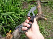 20170502_134748.jpg