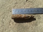 20170504_091148.jpg