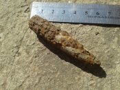 20170504_091230.jpg