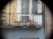 IMG_5050.JPG
