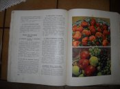 DSCN6187.JPG