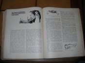 DSCN6205.JPG