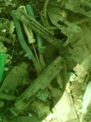IMG0058A.jpg