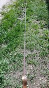 20170505_124513.jpg
