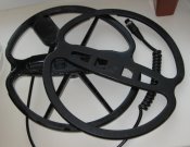 IMG_1154.jpg