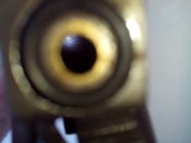 IMG_20170505_190537.jpg