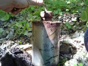 IMG_20170505_123553.jpg