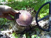IMG_20170505_123558.jpg