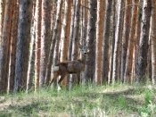 DSCN2170.1.jpg