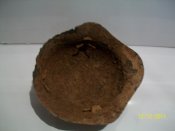 100_2516.jpg