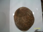 100_2522.jpg