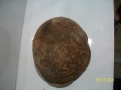 100_2523.jpg