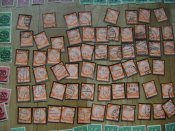 DSC07807.JPG
