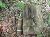 DSCN2275.JPG