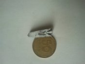 2017-05-08 09.16.35.jpg