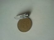 2017-05-08 09.16.50.jpg