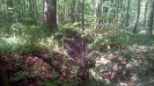 IMG_20170508_133852.jpg