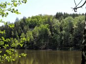 DSCN2246.1.jpg