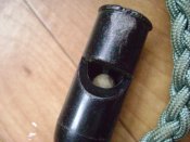 DSC07899.JPG