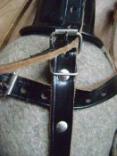 DSC07910.JPG