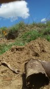 20170509_112504.jpg