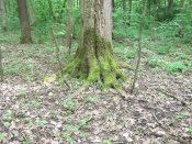 DSCF7719.JPG