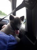 20170507_200227.jpg