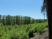 DSCN2190.1.jpg