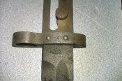 IMAG0226.jpg