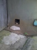 2016-06-16 20.30.09.jpg