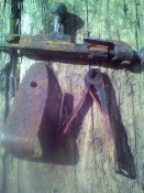IMG_20170510_161154.jpg