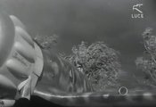 qq7.jpg