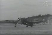 qq9.jpg
