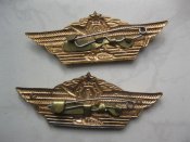 Две классности