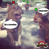imagePIDYMNGW.jpg