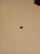 IMG_20170515_124111.jpg