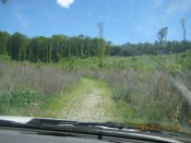 IMG_0405.JPG