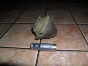 mini-SAM_0231.JPG
