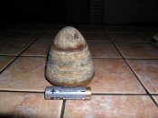 mini-SAM_0235.JPG