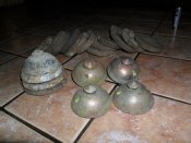 mini-SAM_0243.JPG