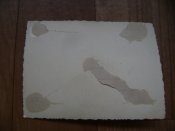 DSC07848.JPG