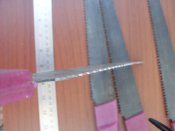 SDC13213.JPG
