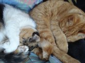 DSC00035.JPG