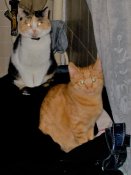 DSC00178.jpg