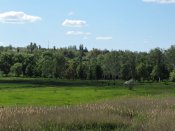 DSCN2726.JPG